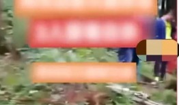 天鹅林场最新爆料视频